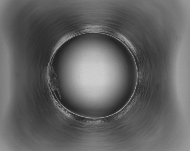 X0000116681386200912141423