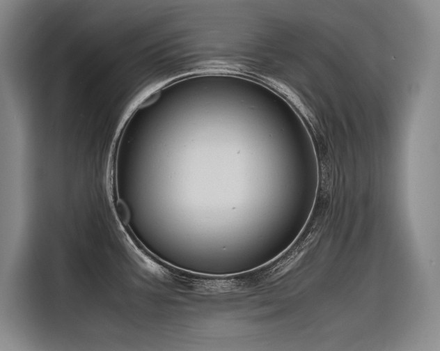 X0000116681387200912141423