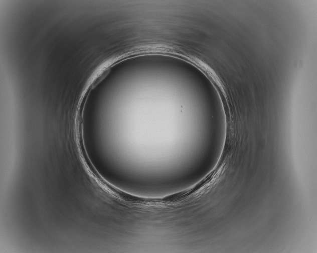 X0000116681389200912141423