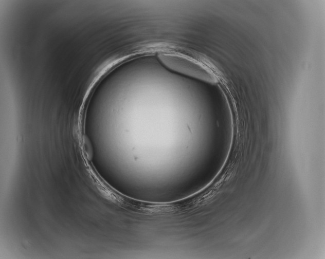 X0000116681392200912141423
