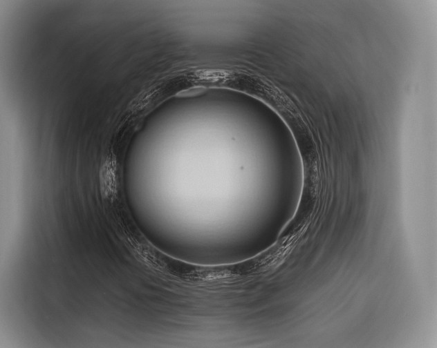 X0000116681394200912141422