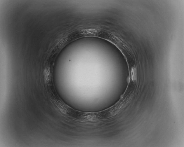 X0000116681395200912141422