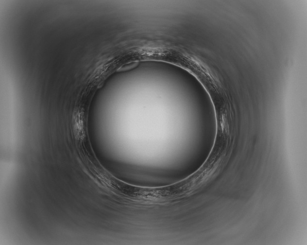 X0000116681396200912141422