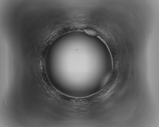 X0000116681397200912141422