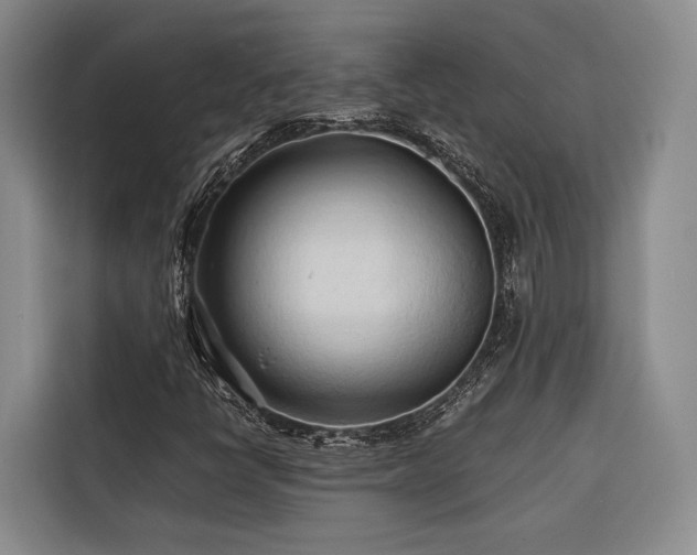 X0000116681398200912141422