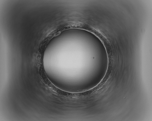 X0000116681399200912141422