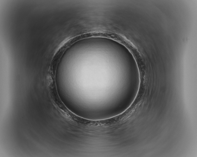 X0000116681400200912141422