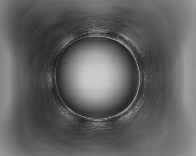 X0000116681401200912141422