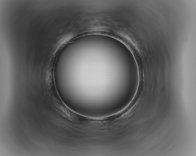 X0000116681405200912141422