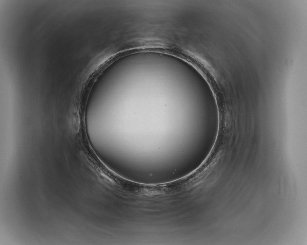 X0000116681407200912141422