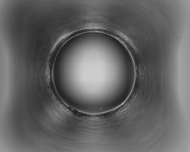 X0000116681408200912141422