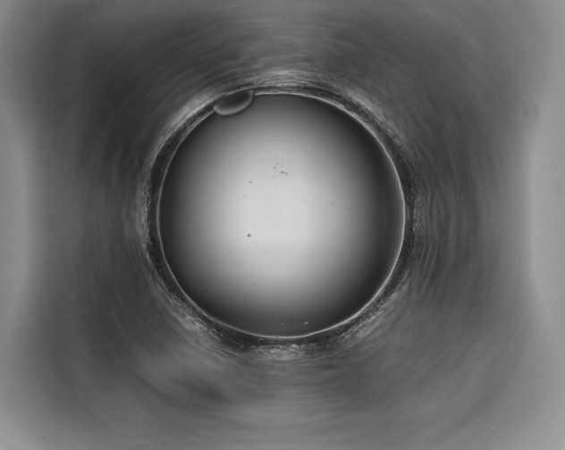 X0000116681410200912141422