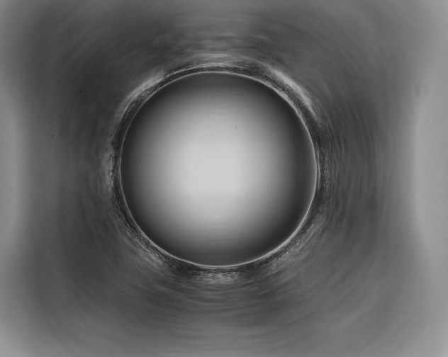 X0000116681411200912141422