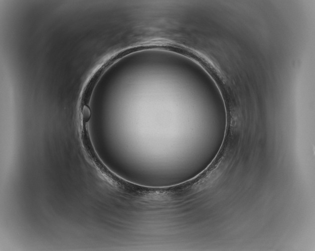 X0000116681414200912141423