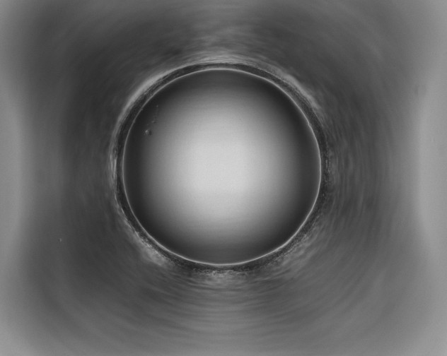 X0000116681416200912141423