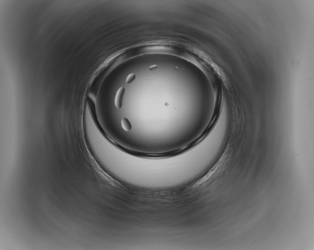 X0000116681417200912141423