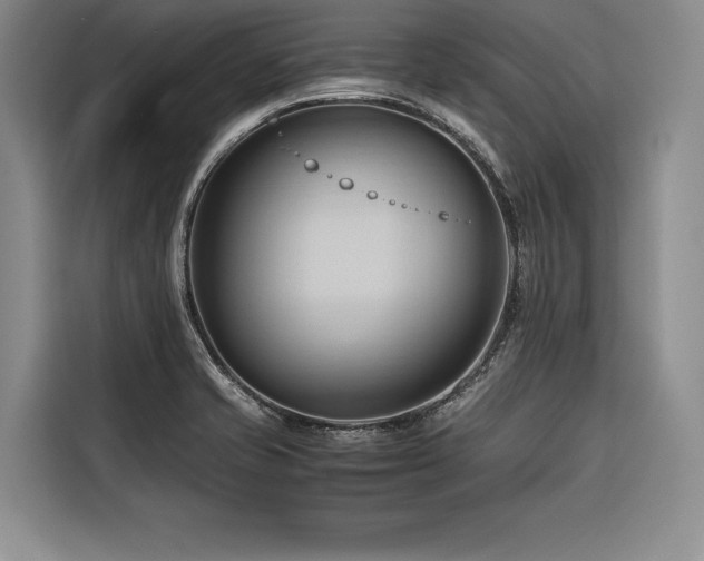 X0000116681421200912141423