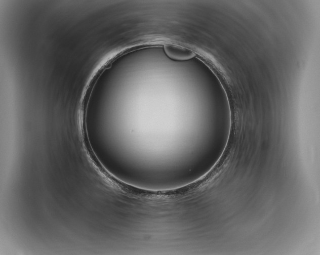 X0000116681424200912141423