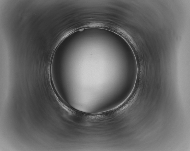 X0000116681425200912141423