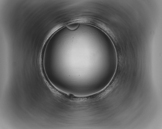X0000116681426200912141423