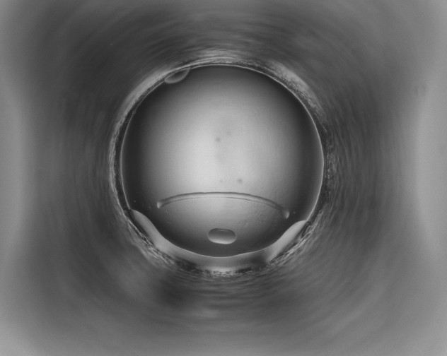 X0000116681427200912141423
