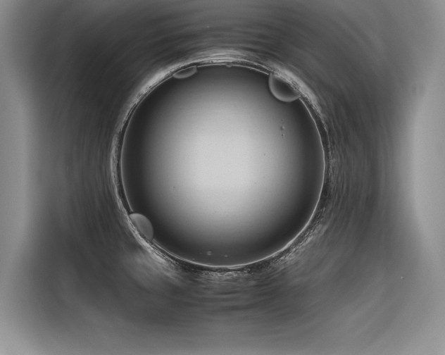 X0000116681429200912141423