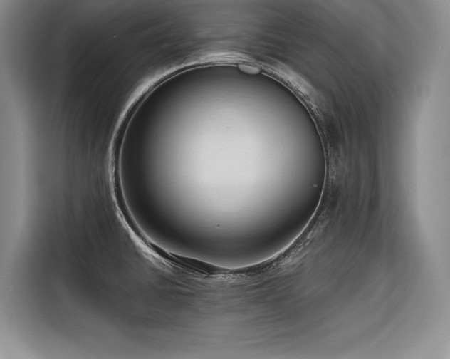 X0000116681430200912141423