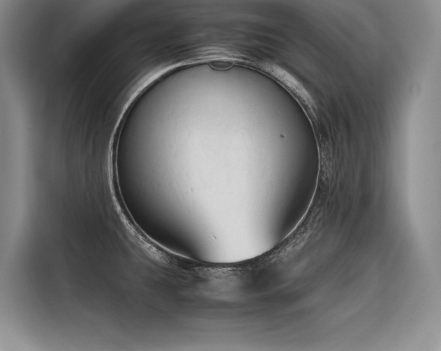 X0000116681431200912141423