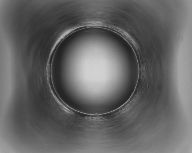 X0000116681432200912141423
