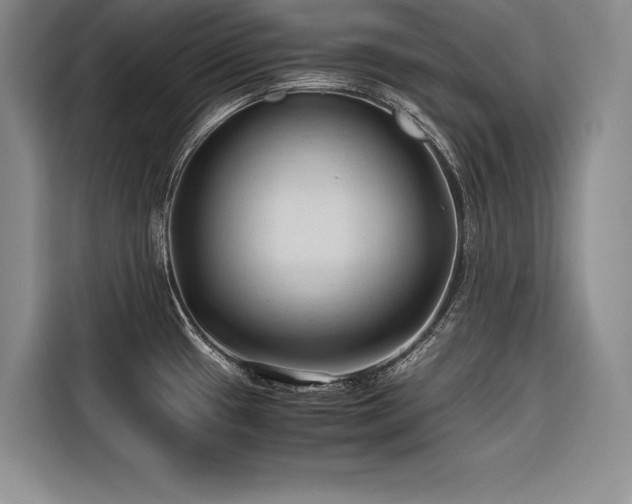 X0000116681433200912141423