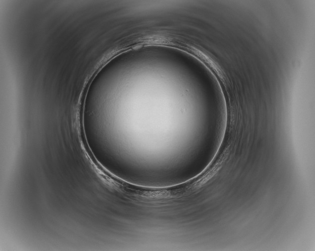 X0000116681434200912141423