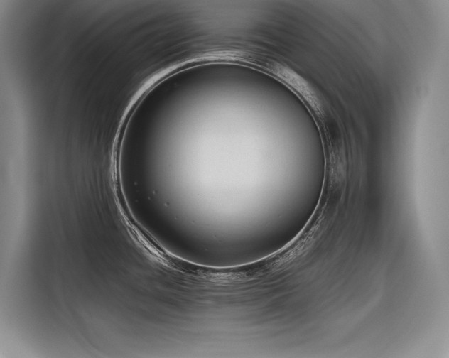 X0000116681436200912141423