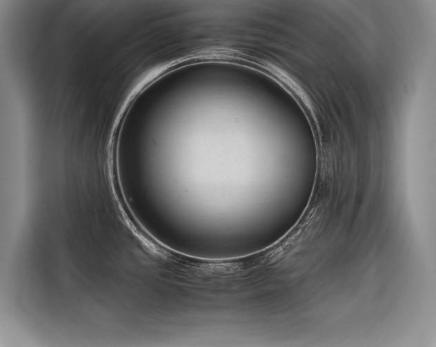 X0000116681437200912141423