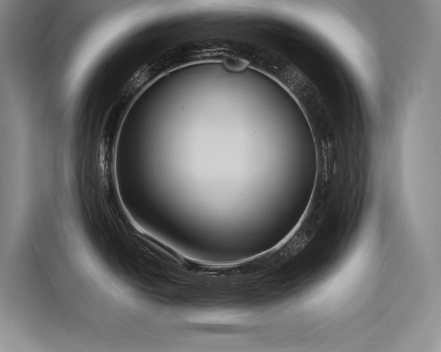 X0000116681438200912141423