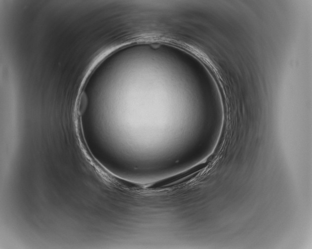 X0000116681440200912141423