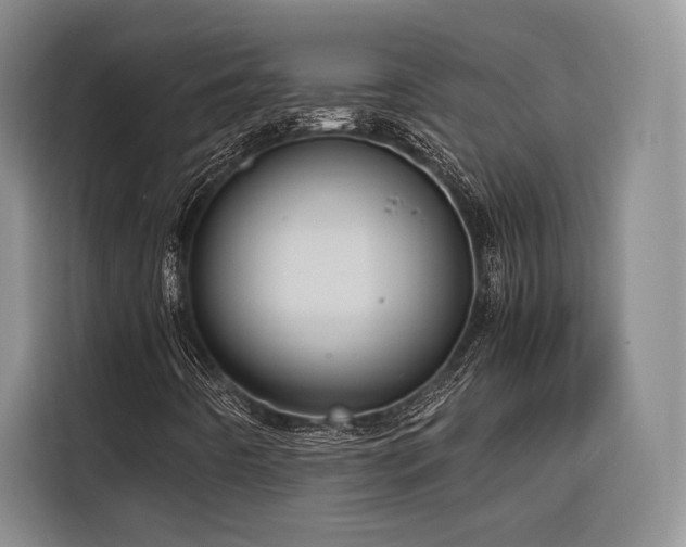 X0000116681442200912141422