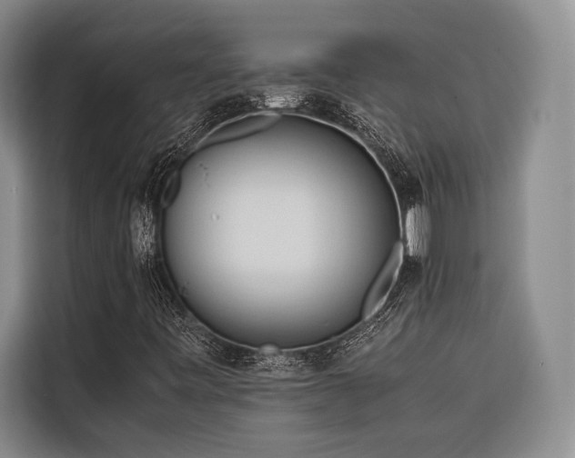 X0000116681443200912141422