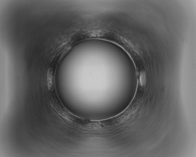 X0000116681444200912141422