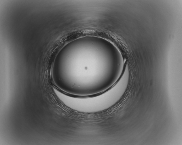 X0000116681445200912141422