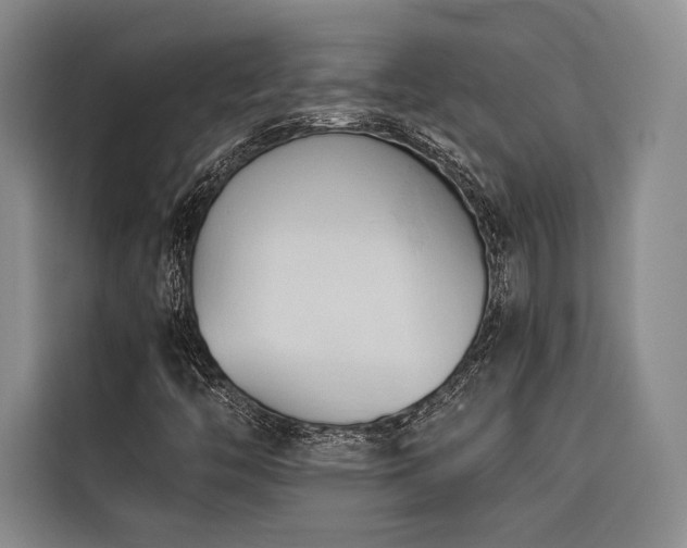 X0000116681446200912141422