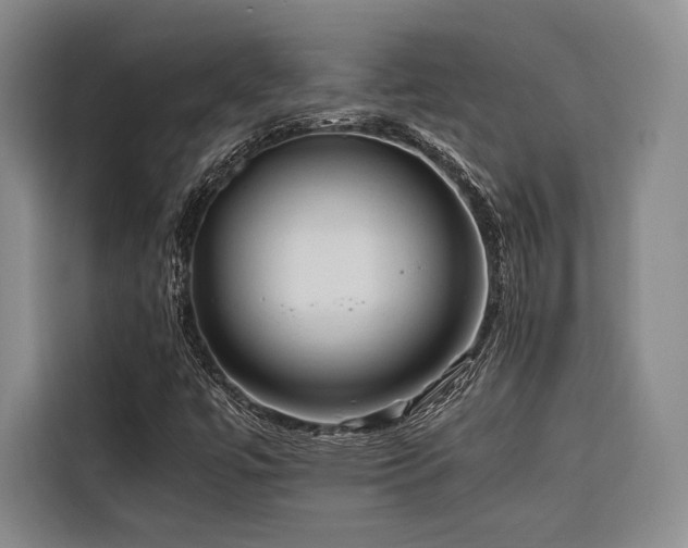 X0000116681447200912141422