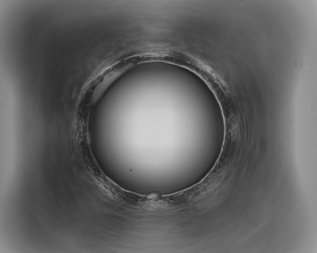 X0000116681448200912141422