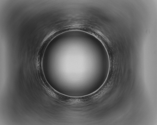 X0000116681450200912141422