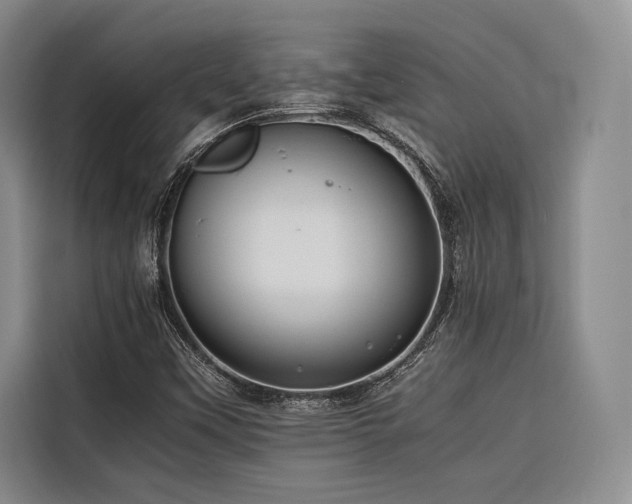 X0000116681451200912141422
