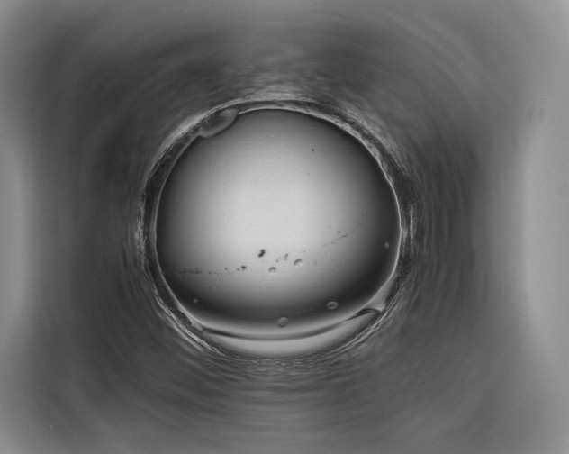 X0000116681452200912141422