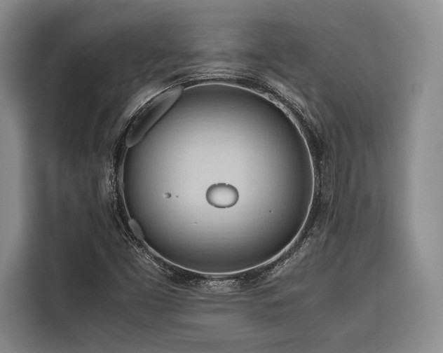 X0000116681453200912141422