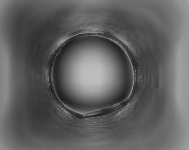 X0000116681455200912141422