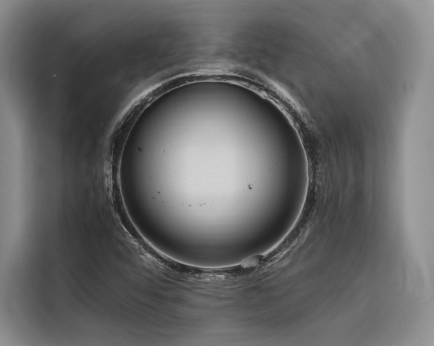 X0000116681456200912141422