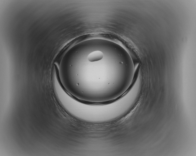 X0000116681457200912141422
