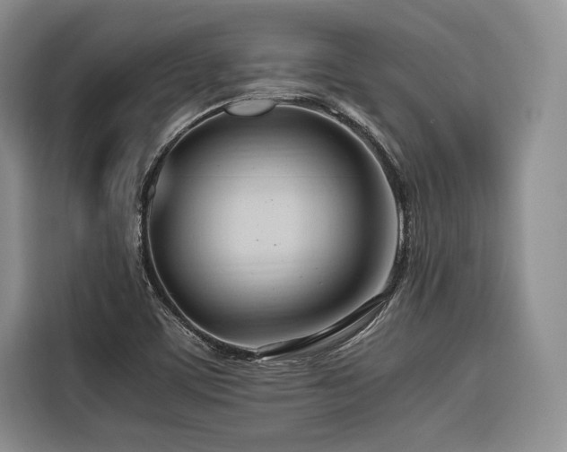X0000116681459200912141422